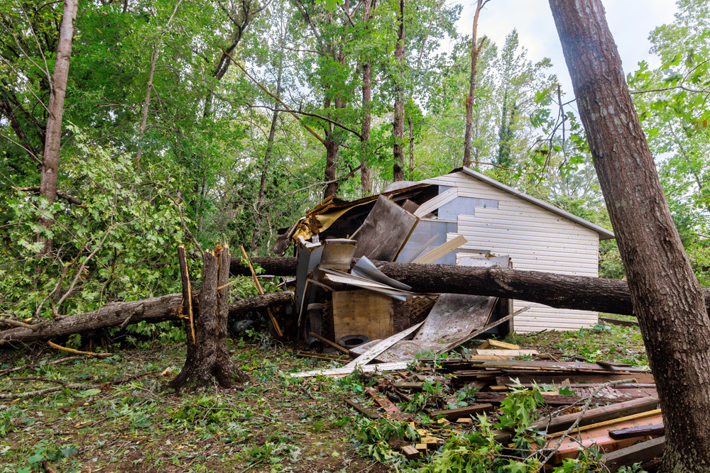 Debris Removal